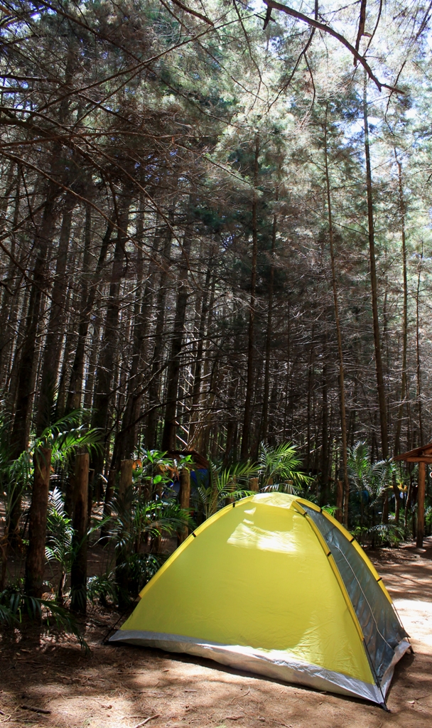 Tiendas para acampar