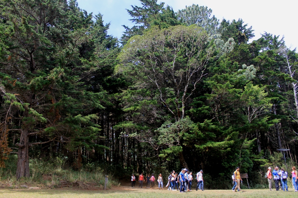 Parque nacional Montecristo