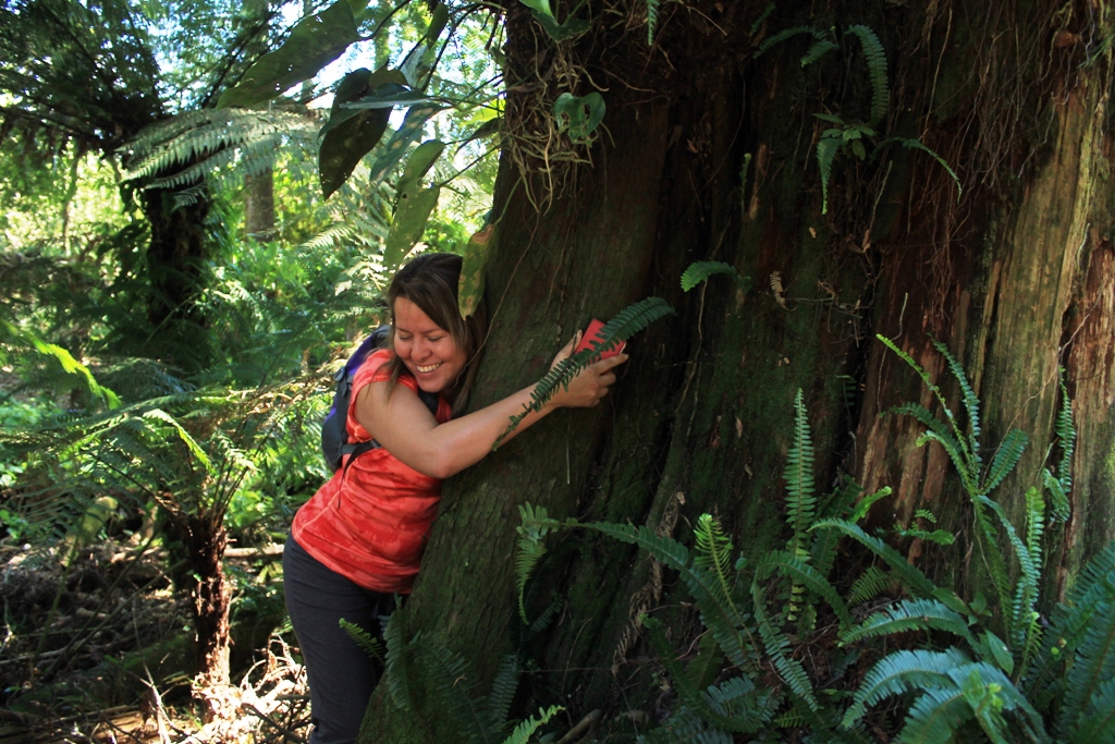 El abrazo al Árbol del Amor