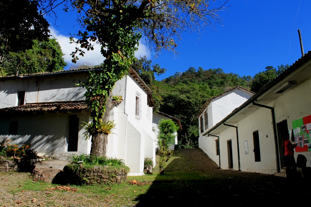 Casco Colonial