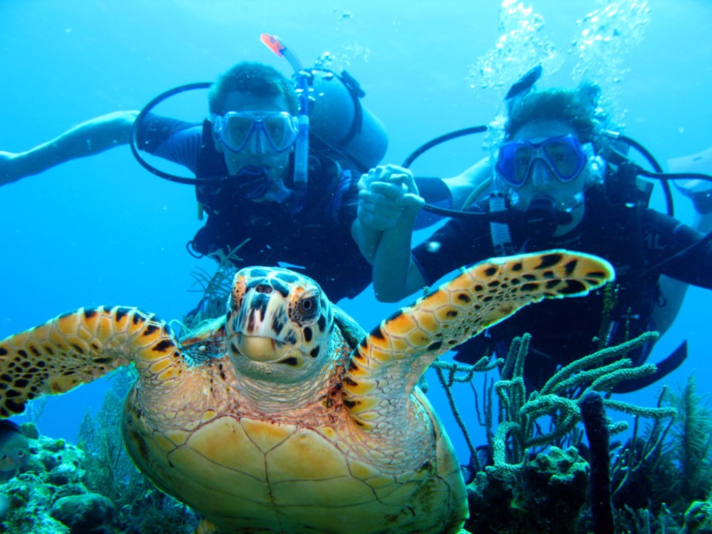 El buceo es la actividad más recomendada. La visibilidad es de 10 a 30 metros. 