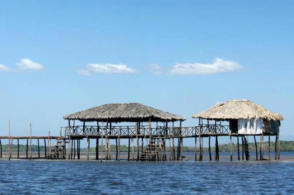 isla tasajera